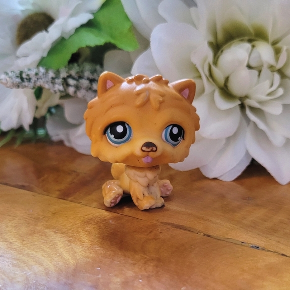Littlest Pet Shop LPS #117 Chow Chow Dog Orange Brown Blue Eyes Hasbro 2005 - Picture 1 of 9